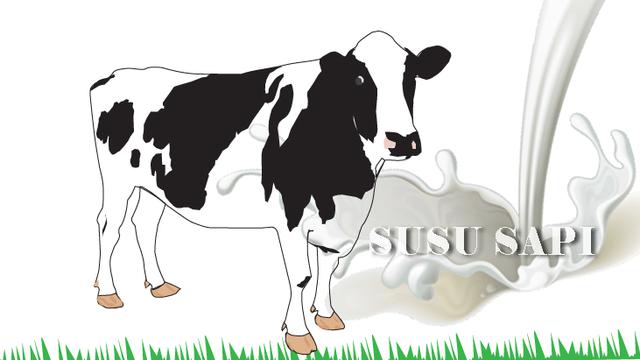 Cara Gambar Sapi Kartun